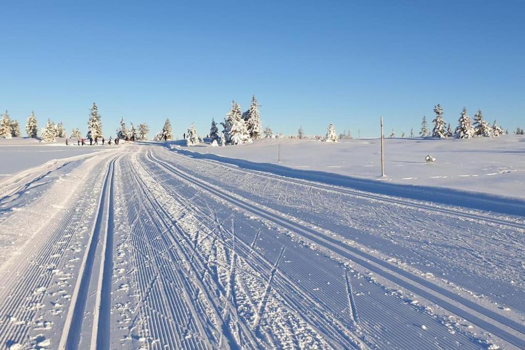 Leilighet Med Panoramautsikt Sjusjoen Innendors Parkering Exterior photo